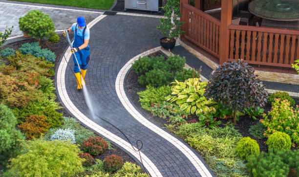 Best Local Pressure Washing Services  in Cedar Lake, IN
